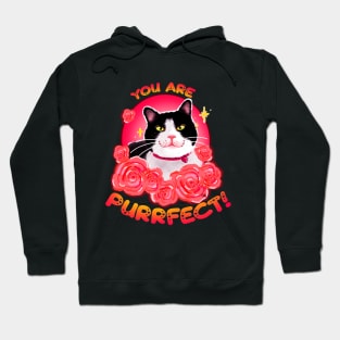 Purrfect! Hoodie